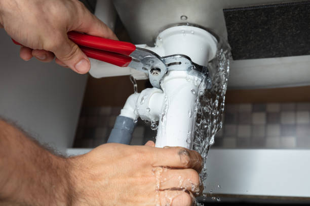 Best Sewage cleanup and water damage restoration  in Santaquin, UT