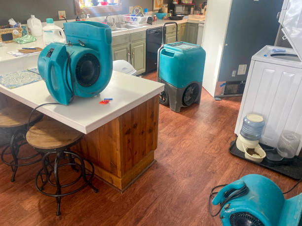 Water damage restoration mold remediation in Santaquin, UT
