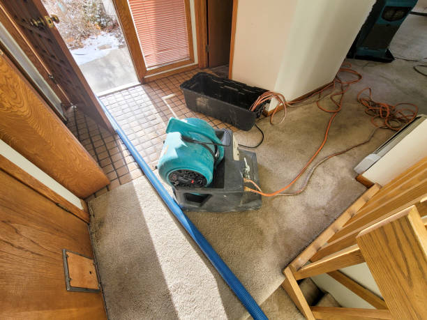 Best Local water damage restoration  in Santaquin, UT