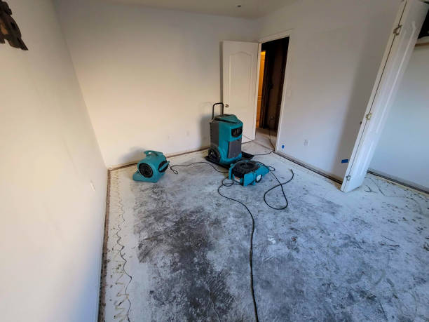 Best Water damage mitigation services  in Santaquin, UT