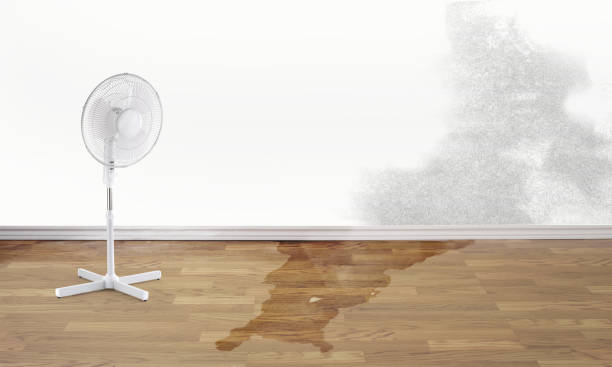 Best Water damage restoration near me  in Santaquin, UT