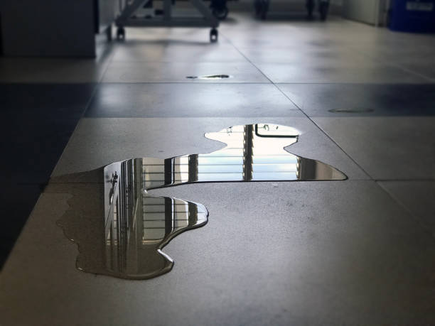 Best Water damage cleanup near me  in Santaquin, UT