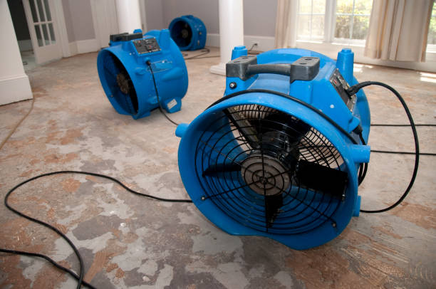 Best Flood damage cleanup  in Santaquin, UT