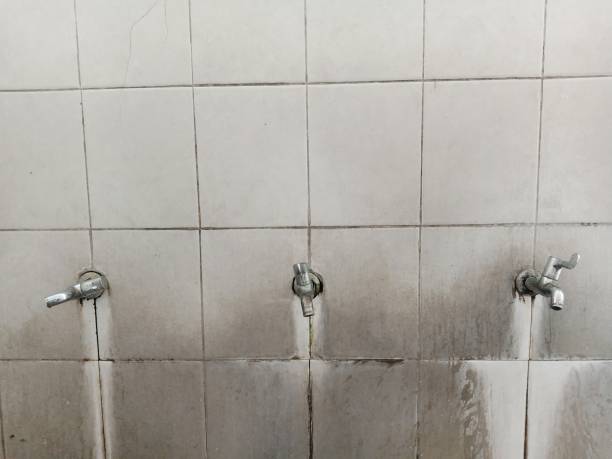 Best Water damage cleanup near me  in Santaquin, UT