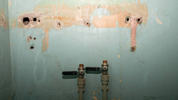 Best Flood restoration services  in Santaquin, UT