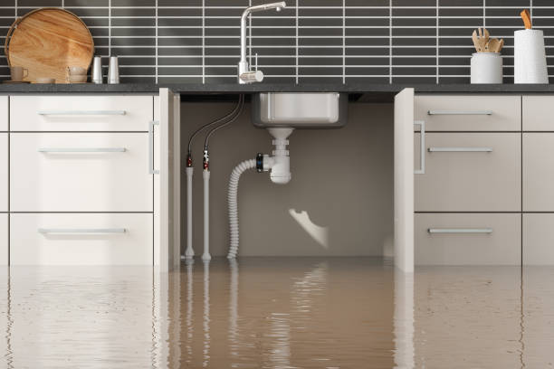 Best Mold removal after water damage  in Santaquin, UT
