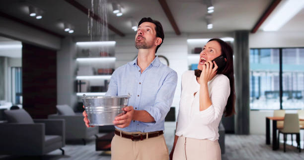 Best Basement water damage restoration  in Santaquin, UT