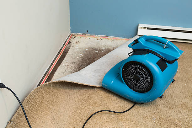 Best 24-hour water damage restoration  in Santaquin, UT